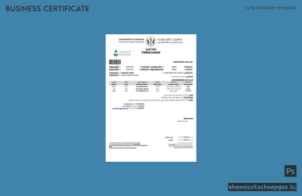 Beispiel einer Handelslizenz für Sharjah in den VAE (Word- und PDF-Datei)